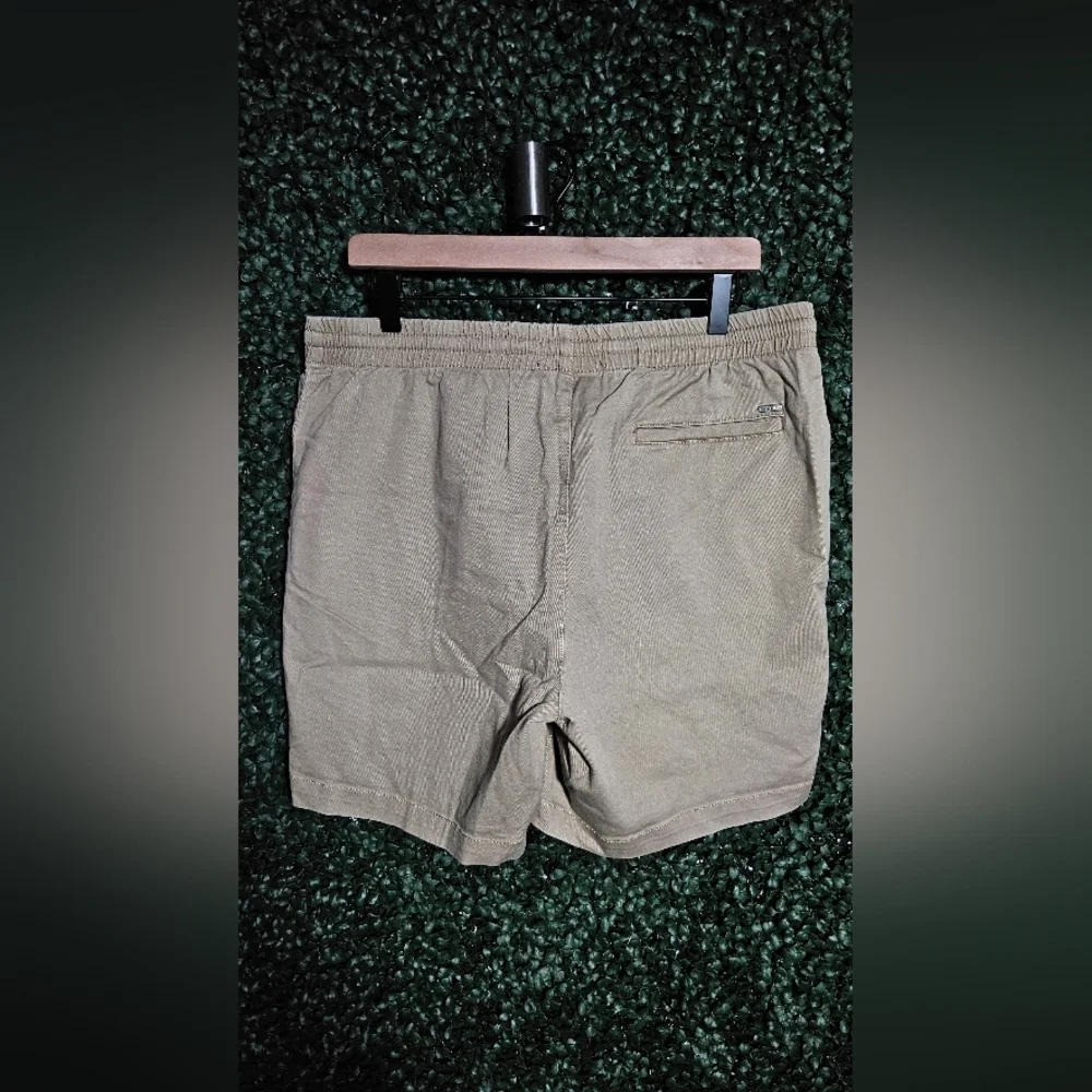 PacSun Tan Flat Front Shorts